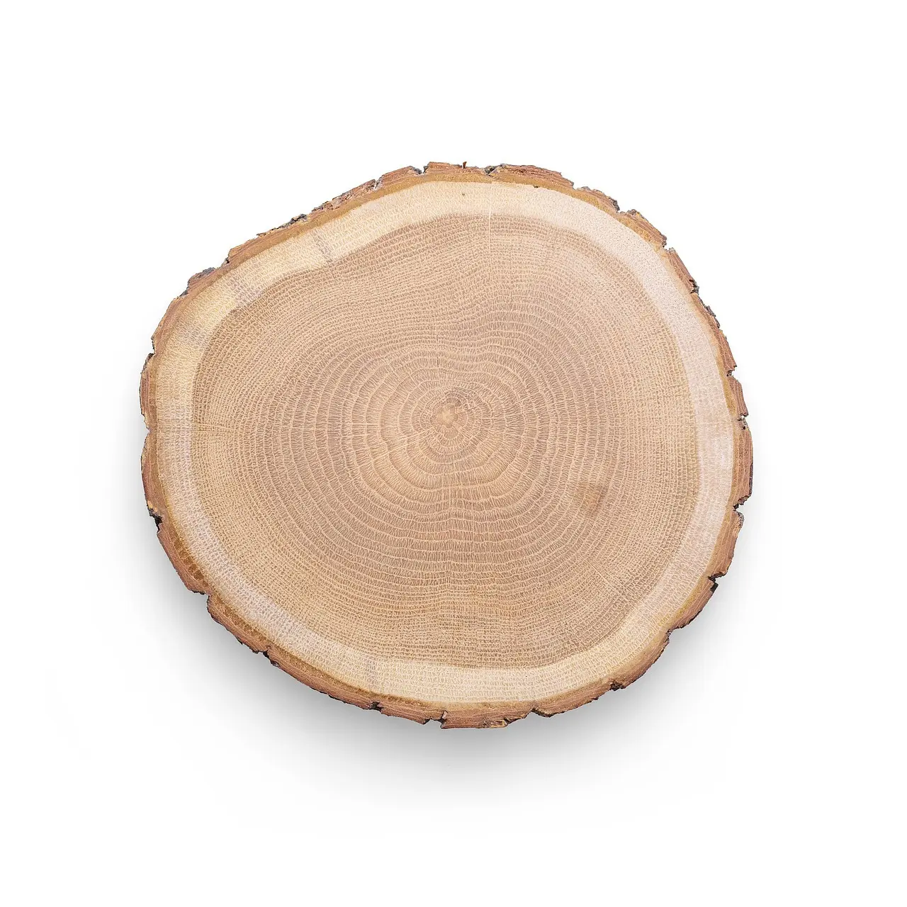 Kreativt genbrug: Regnvejrsprojekter for børn med ting I allerede har